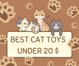 Read more about the article Best Cat Toys Under 20 $