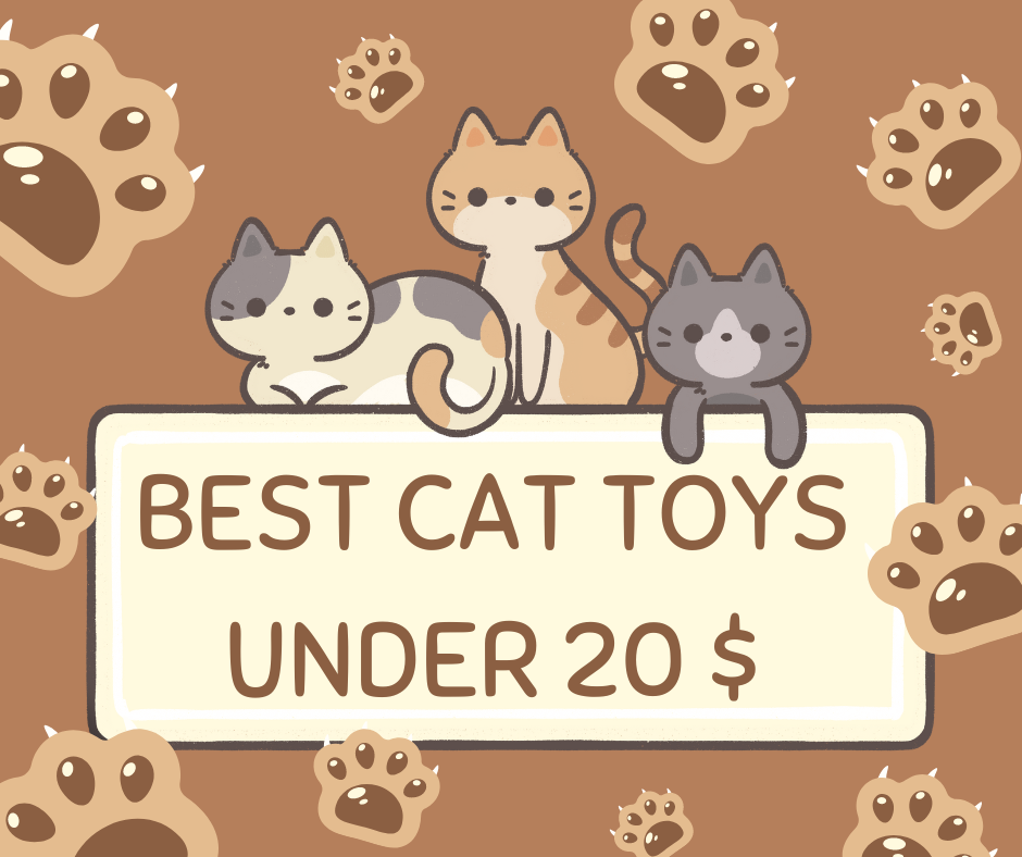 You are currently viewing Best Cat Toys Under 20 $