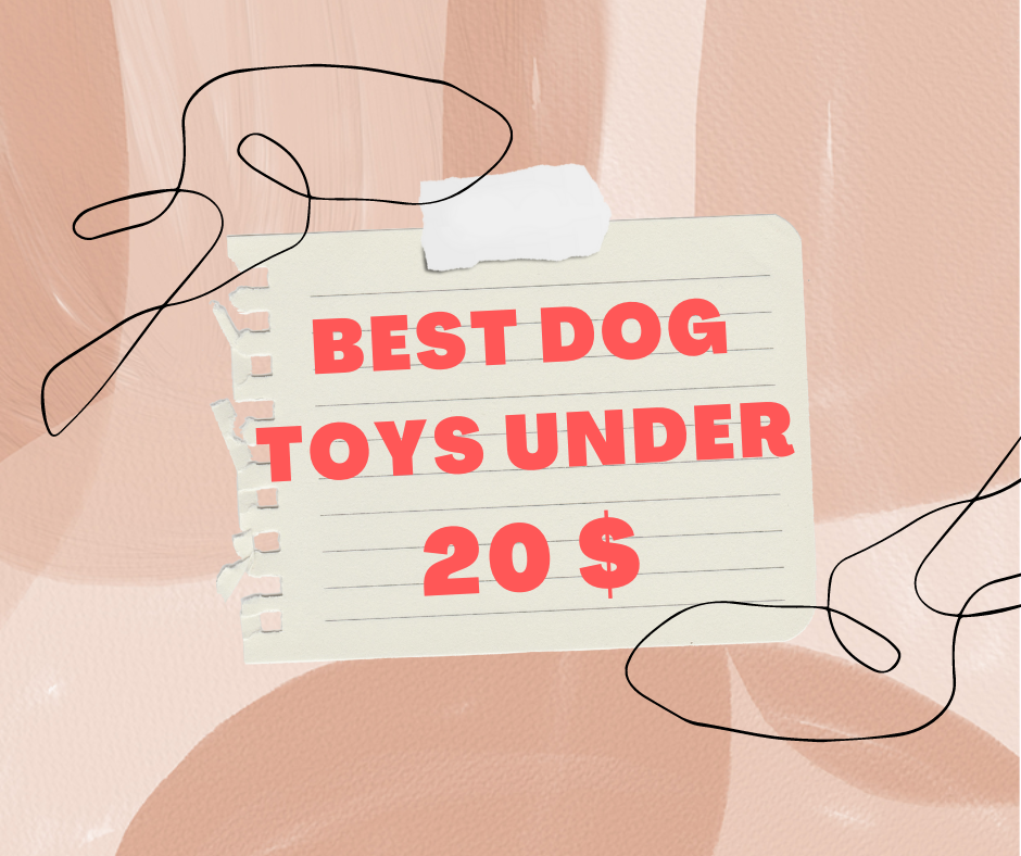 You are currently viewing Best Dog Toys Under 20 $