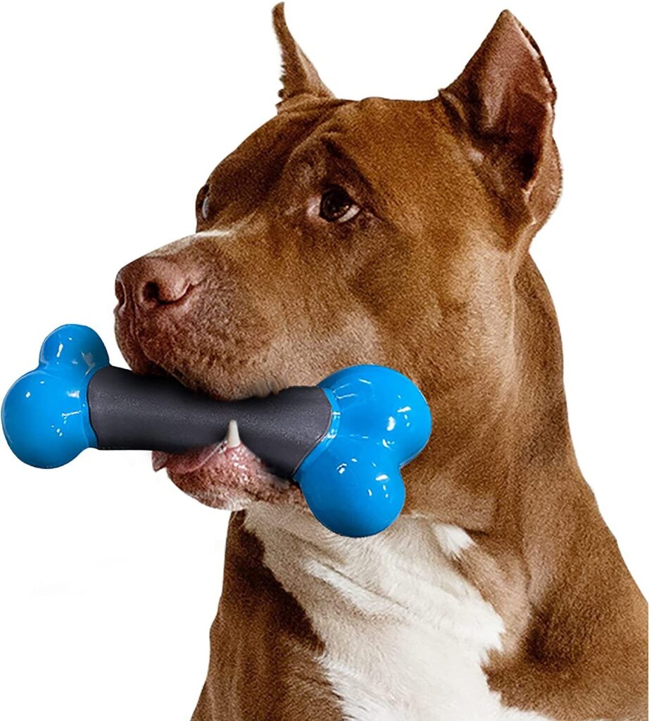 Best Dog Toys Under 20 $