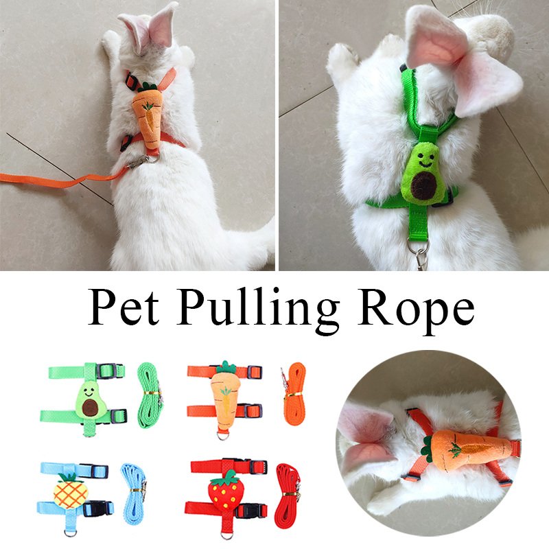 toys for small pet dropshipping products under 5$